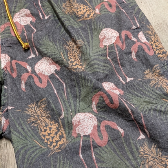 Valor Collective Flamingo pineapple Print Swimming Trunks - Picture 3 of 12